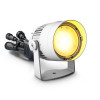 Cameo Q-SPOT 40i white уличный прожектор IP65